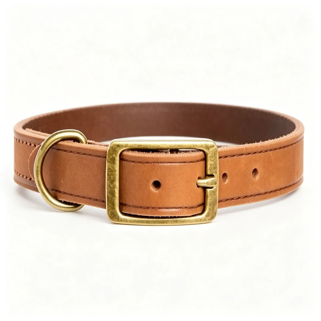 Vintage Brass Buckle Leather Collar