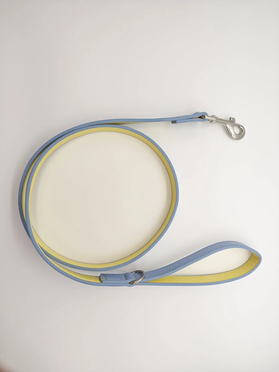 Blue & Yellow Two-Tone Leather Leash