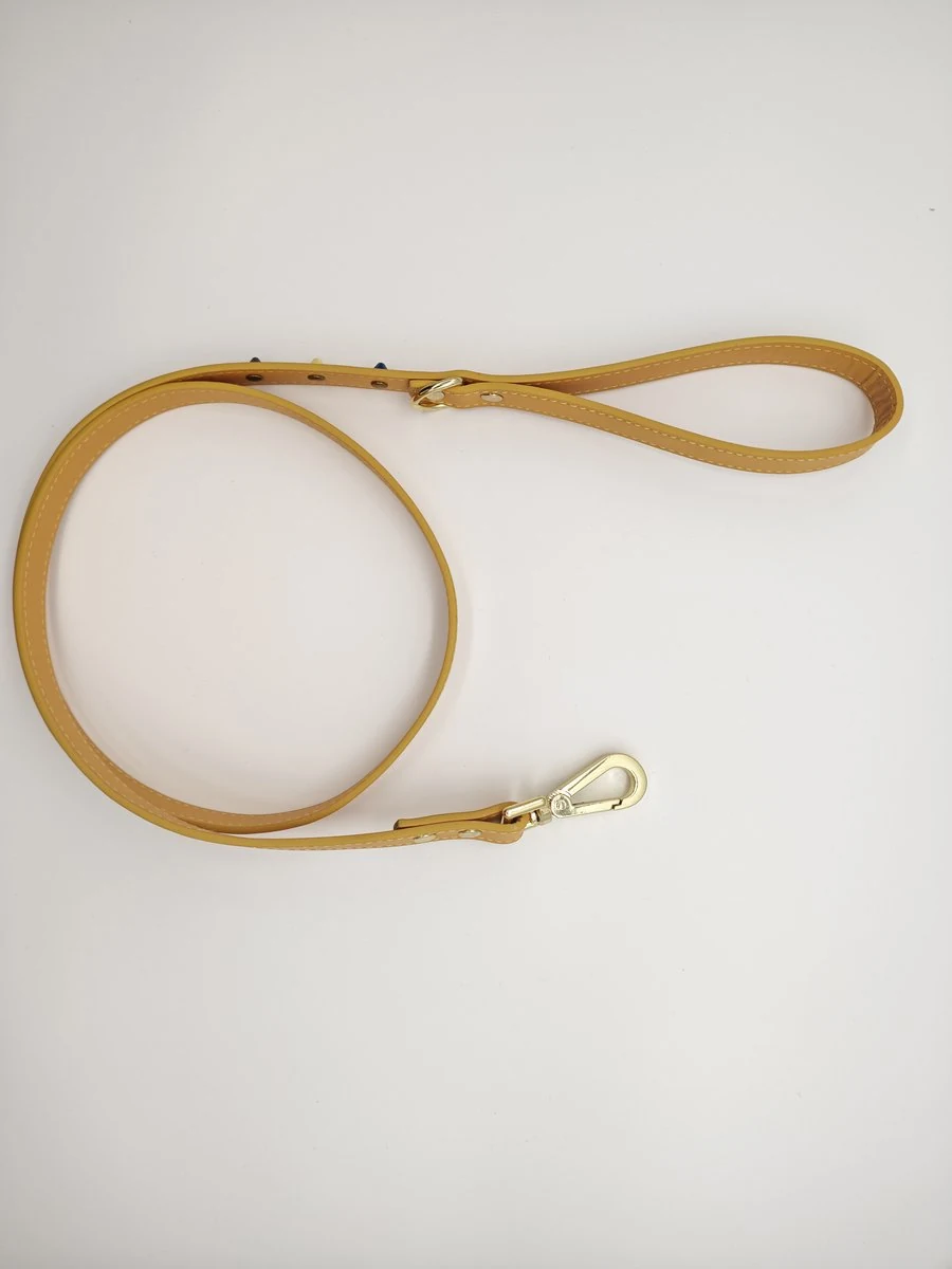 Studded Leather Leash