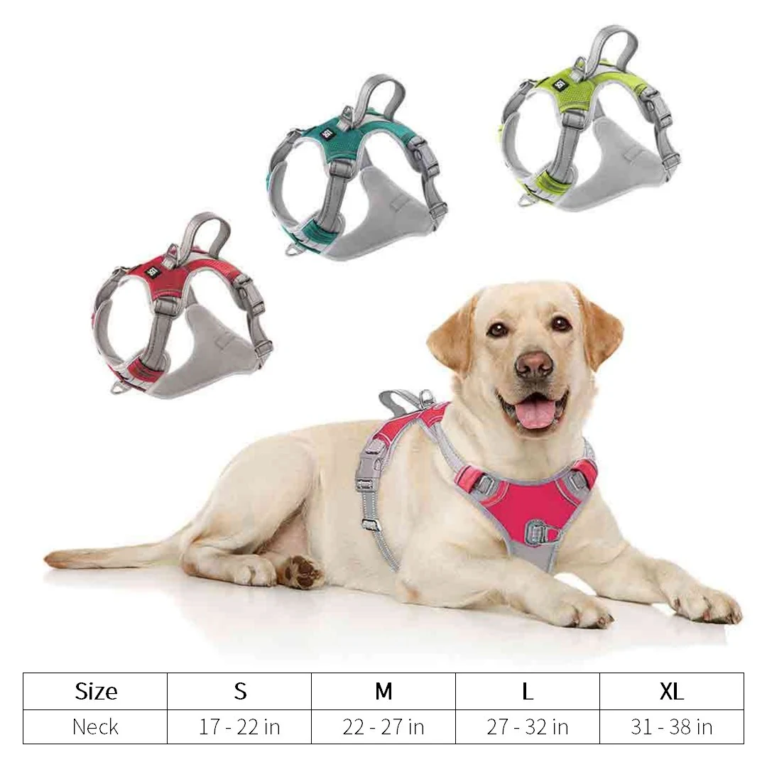 Breathable Mesh Harness