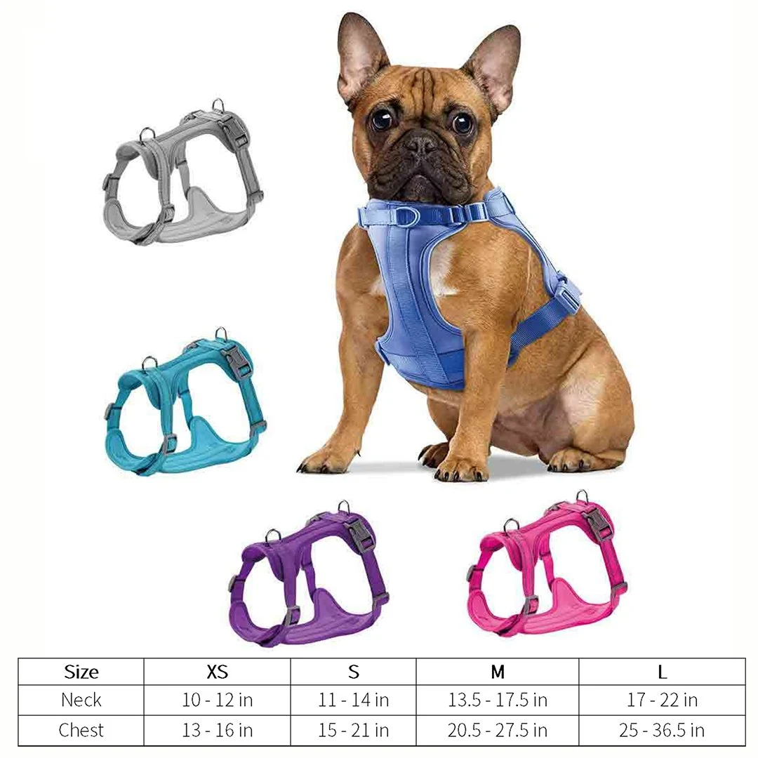 Lightweight Padded Harness