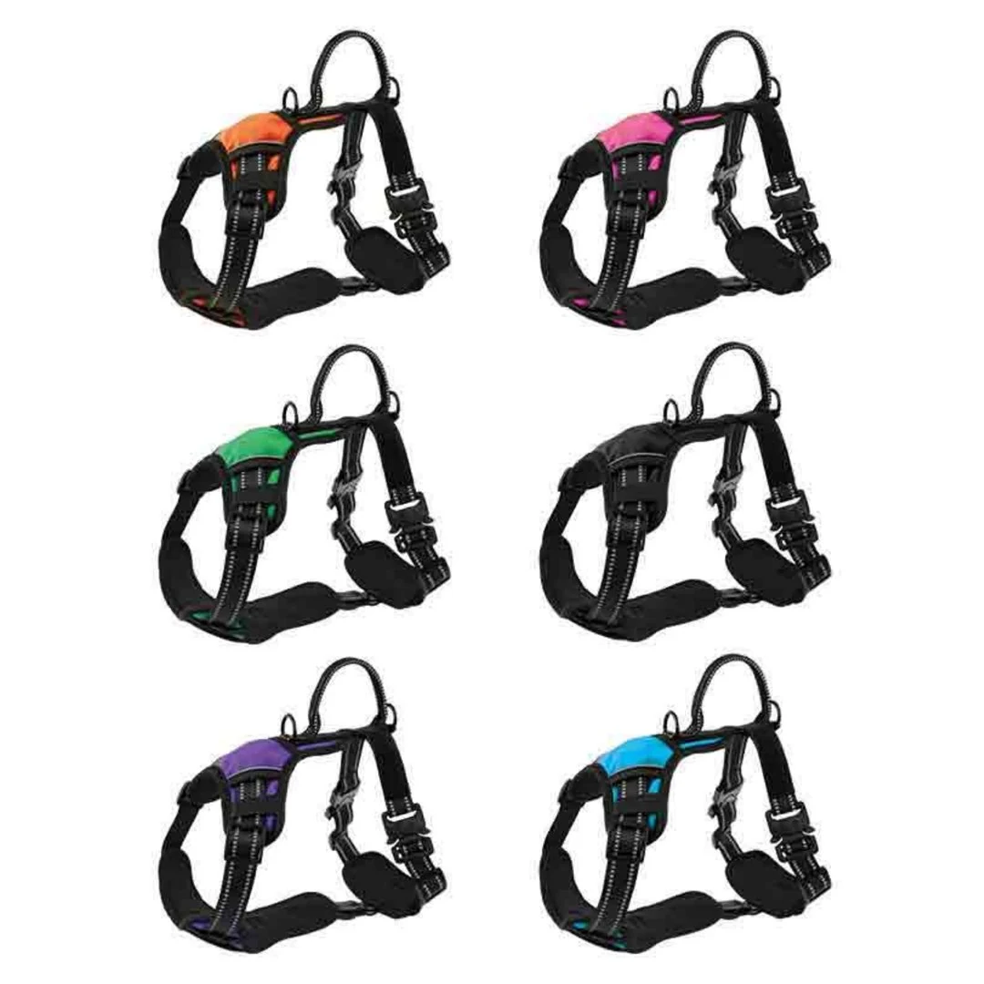 Multi-Color Reflective Harness