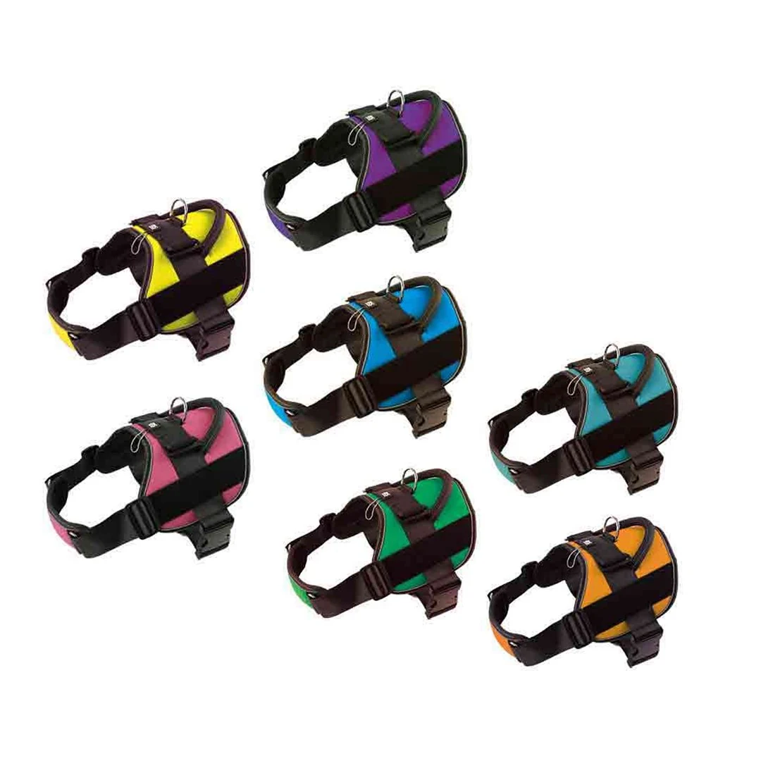 Handle-Top Harness